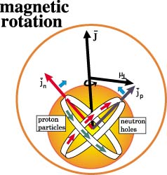 Magnetic rotation