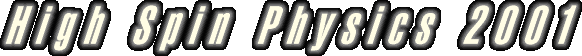 High Spin Physics 2001