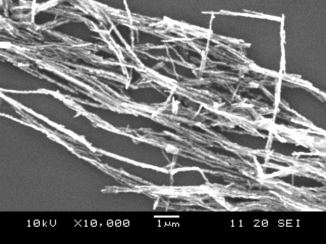 Nanodruty elazowe