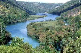 Rzeka Krka