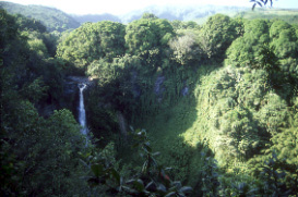 Wodospad Makahiki