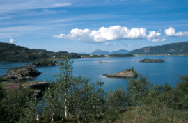 Kalbfjord