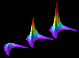 Polaritons