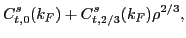 $\displaystyle C_{t,0}^{s }(k_F) + C_{t,2/3}^{s }(k_F)\rho^{2/3} ,$