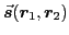 $\displaystyle \vec{\bbox{s}}(\bboxr_1,\bboxr_2)$