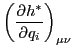 $\displaystyle \bigg( \frac {\partial h^\ast} {\partial q_i} \bigg)_{\mu \nu}$