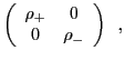 $\displaystyle \left(
\begin{array}{cc}
\rho_+ & 0\\
0 & \rho_-
\end{array}\right) \,\,\,,$