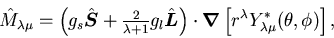 \begin{displaymath}
\hat{M}_{\lambda\mu} =
\left(g_s\hat{\mbox{{\boldmath {$S$}...
...nabla$}}}\left[r^\lambda Y^*_{\lambda\mu}(\theta,\phi)\right],
\end{displaymath}