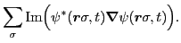 $\displaystyle \sum_{\sigma}
\mbox{Im}\Big(\psi^*(\bm{r}\sigma,t)\bm{\nabla}\psi (\bm{r}\sigma,t)\Big) .$