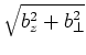 $\sqrt{b_z^2+b_\bot^2}$