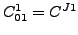 $ C^1_{01}=C^{J1}$