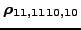 $ \bm{\rho_{11,1110,10}}$