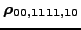 $ \bm{\rho_{00,1111,10}}$