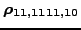 $ \bm{\rho_{11,1111,10}}$