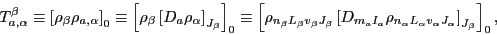 \begin{displaymath}
T_{a,\alpha}^{\beta} \equiv \left[\rho_{\beta}\rho_{a,\alpha...
...L_{\alpha}v_{\alpha}J_{\alpha}}\right]_{J_{\beta}}\right]_{0},
\end{displaymath}