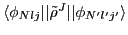 $\langle\phi_{Nlj}\vert\vert\tilde{\rho}^{J}\vert\vert\phi_{N'l'j'}\rangle$