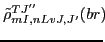 $\displaystyle \tilde{\rho}_{mI,nLvJ,J'}^{TJ''}(br) \!\!$