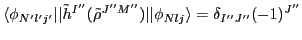 $\displaystyle \langle\phi_{N'l'j'}\vert\vert\tilde{h}^{I''}(\tilde{\rho}^{J''M''})\vert\vert\phi_{Nlj}\rangle =
\delta_{I''J''} (-1)^{J''}$