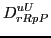 $\displaystyle D^{uU}_{rRpP}$