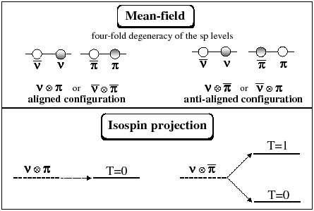 \includegraphics[width=0.8\columnwidth, clip]{isospinHS_fig2.eps}