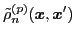 $\displaystyle \tilde{\rho}_{n}^{(p)} ({\boldsymbol x},{\boldsymbol x}')$