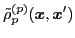 $\displaystyle \tilde{\rho}_{p}^{(p)} ({\boldsymbol x},{\boldsymbol x}')$