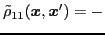 $\displaystyle \tilde{\rho}_{11} ({\boldsymbol x},{\boldsymbol x}')
= -$