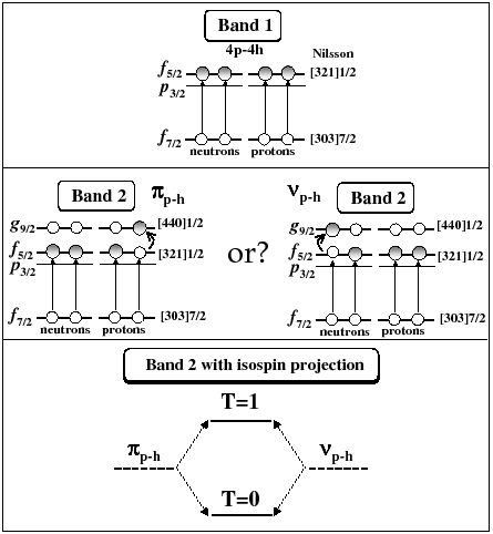 \includegraphics[width=0.80\columnwidth, clip]{isospinHS_fig3.eps}