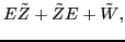 $\displaystyle E \tilde{Z} + \tilde{Z} E + \tilde{W} ,$