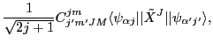 $\displaystyle \frac{1}{\sqrt{2j+1}} C^{jm}_{j'm'JM}
\langle\psi_{\alpha j}\vert\vert\tilde{X}^{J}\vert\vert\psi_{\alpha'j'}\rangle ,$