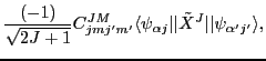 $\displaystyle \frac{(-1)}{\sqrt{2J+1}}
C^{JM}_{jmj'm'} \langle\psi_{\alpha j}\vert\vert\tilde{X}^{J}\vert\vert\psi_{\alpha'j'}\rangle ,$