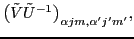 $\displaystyle \bigl( {\tilde V} {\tilde U}^{-1} \bigr)^{}_{\alpha jm, \alpha' j'm'},$