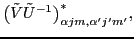 $\displaystyle \bigl( {\tilde V} {\tilde U}^{-1} \bigr)^*_{\alpha jm, \alpha' j'm'},$