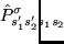 $\displaystyle \hspace*{-2.5em}
\hat{P}^\sigma_{s_1's_2's_1s_2}\!$