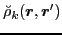 $\displaystyle \breve{\rho}_k (\bm{r},\bm{r}')$