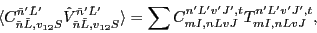 \begin{displaymath}
\langle C_{\tilde{n} \tilde{L},v_{12} S}^{\tilde{n}' \tilde{...
...,n L v J}^{n' L' v' J',t} T_{m I, n L v J}^{n' L' v' J', t}
,
\end{displaymath}