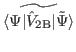 $ \widetilde{ \langle \Psi
\vert\hat V_{\rm {2B}} \vert \tilde{\Psi}\rangle }$