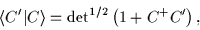 \begin{displaymath}
\langle{}C'\vert C\rangle = {\det}^{1/2}\left(1+C^+C'\right),
\end{displaymath}