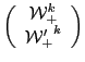 $\displaystyle \left(
\begin{array}{c}
{\mathcal W}_+^k\\
{{\mathcal W}'_+}^k\\
\end{array} \right)$