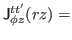 $\displaystyle {\sf J}_{\phi z}^{tt'}(rz) =$