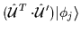 $\displaystyle ({{\hat{\cal{U}}}}^T\cdot\!{\hat{\cal{U}}}')\vert\phi_j\rangle$