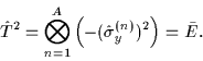 \begin{displaymath}
{\hat{T}}^2= \bigotimes_{n=1}^A\left(-({\hat{\sigma}}_y^{(n)})^2\right)=\bar{E}.
\end{displaymath}
