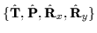 $\{\hat{\mathbf{T}},\hat{\mathbf{P}},\hat{\mathbf{R}}_{x},\hat{\mathbf{R}}_{y}\}$