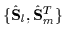 $\{\hat{\mathbf{S}}_{l} ,\hat{\mathbf{S}}_{m}^T\}$