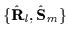 $\{\hat{\mathbf{R}}_{l} ,\hat{\mathbf{S}}_{m}\} $