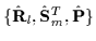 $\{\hat{\mathbf{R}}_{l} ,\hat{\mathbf{S}}_{m}^T,\hat{\mathbf{P}}\} $