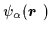 $\psi _{\alpha}({\mbox{{\boldmath {$r$ }}}})$