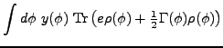 $\displaystyle \int d\phi ~y(\phi )~{\rm Tr}\left( e\rho (\phi )+\tfrac{1}{2}
\Gamma (\phi )\rho (\phi )\right)$