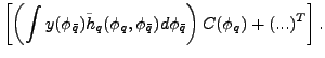 $\displaystyle \left[ \left( \int y(\phi_{\bar{q}})\tilde{h}_{q}(\phi
_{q},\phi_{\bar{q}})d\phi_{\bar{q}}\right) C(\phi
_{q})+(...)^{T}\right].$