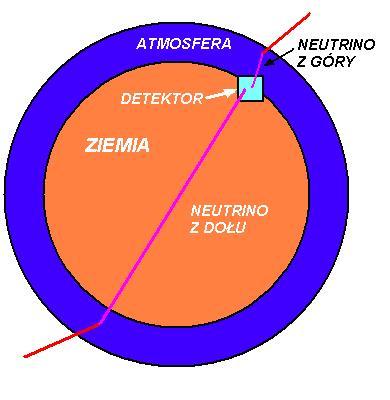 Neutrina dochodzące z góry i z dołu